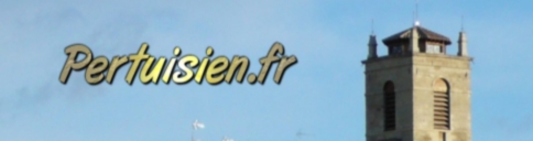 https://www.Pertuisien.fr (logo)